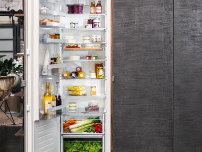 Neff Geraete Kuehlschrank 1