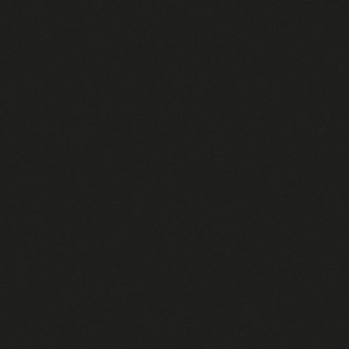 Link zur Seite 1304 Schwarz 19 mm